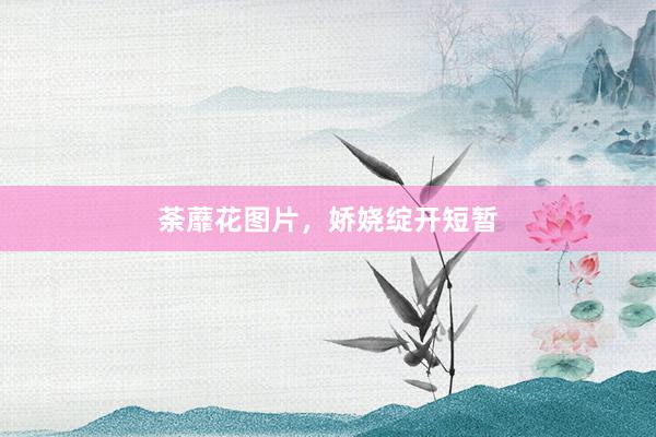 荼蘼花图片，娇娆绽开短暂