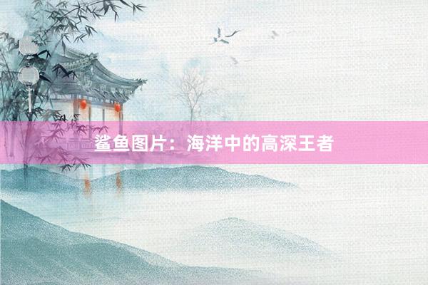 鲨鱼图片：海洋中的高深王者